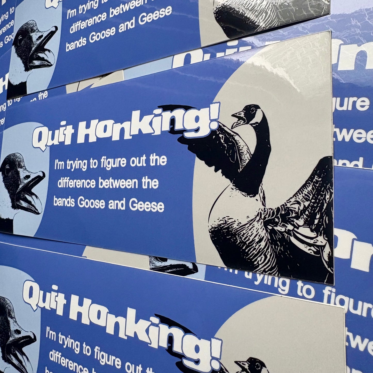 Goose or Geese? (Bumper Sticker)