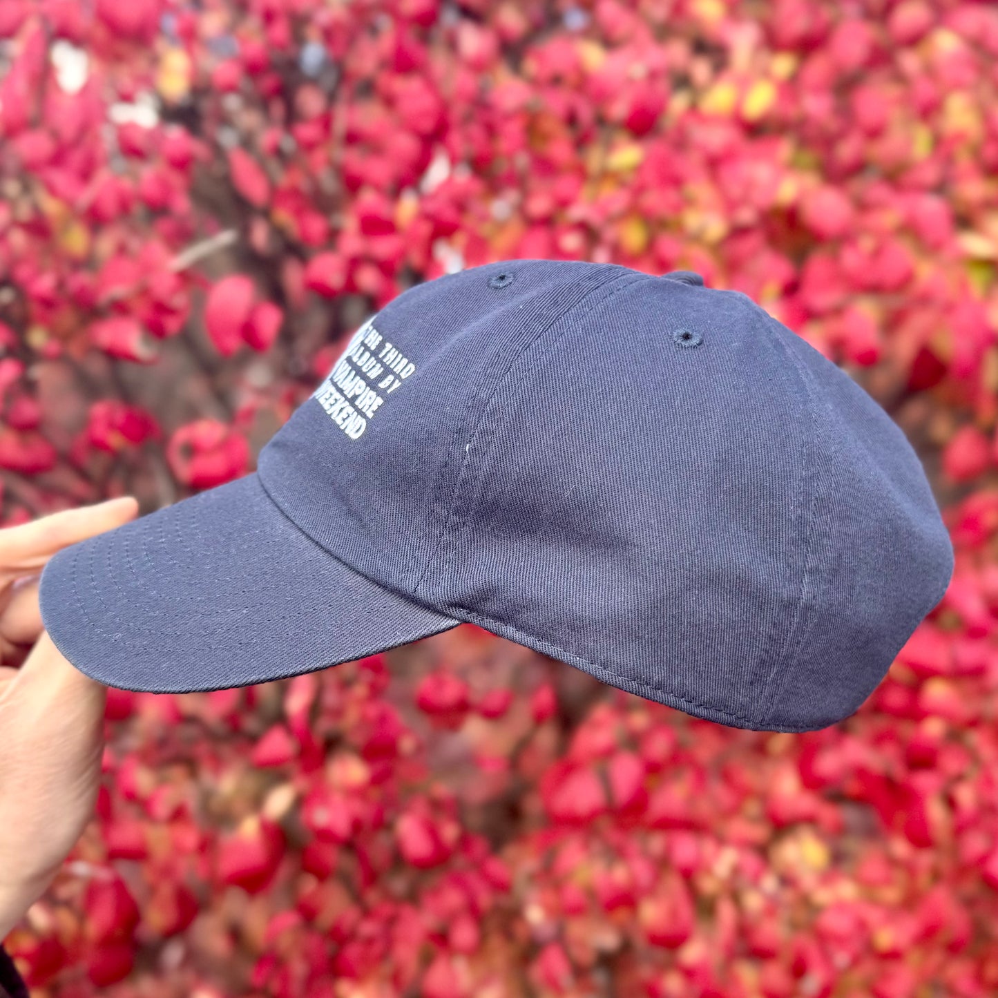 Modern Vampires of NY Hat