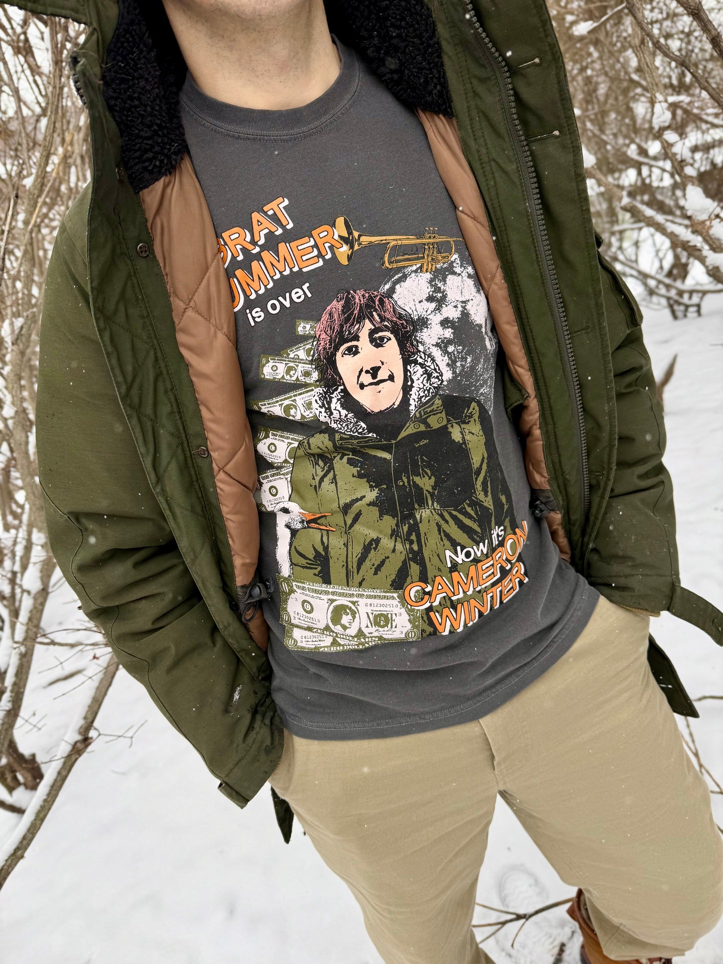 Winter is Coming (T-Shirt)