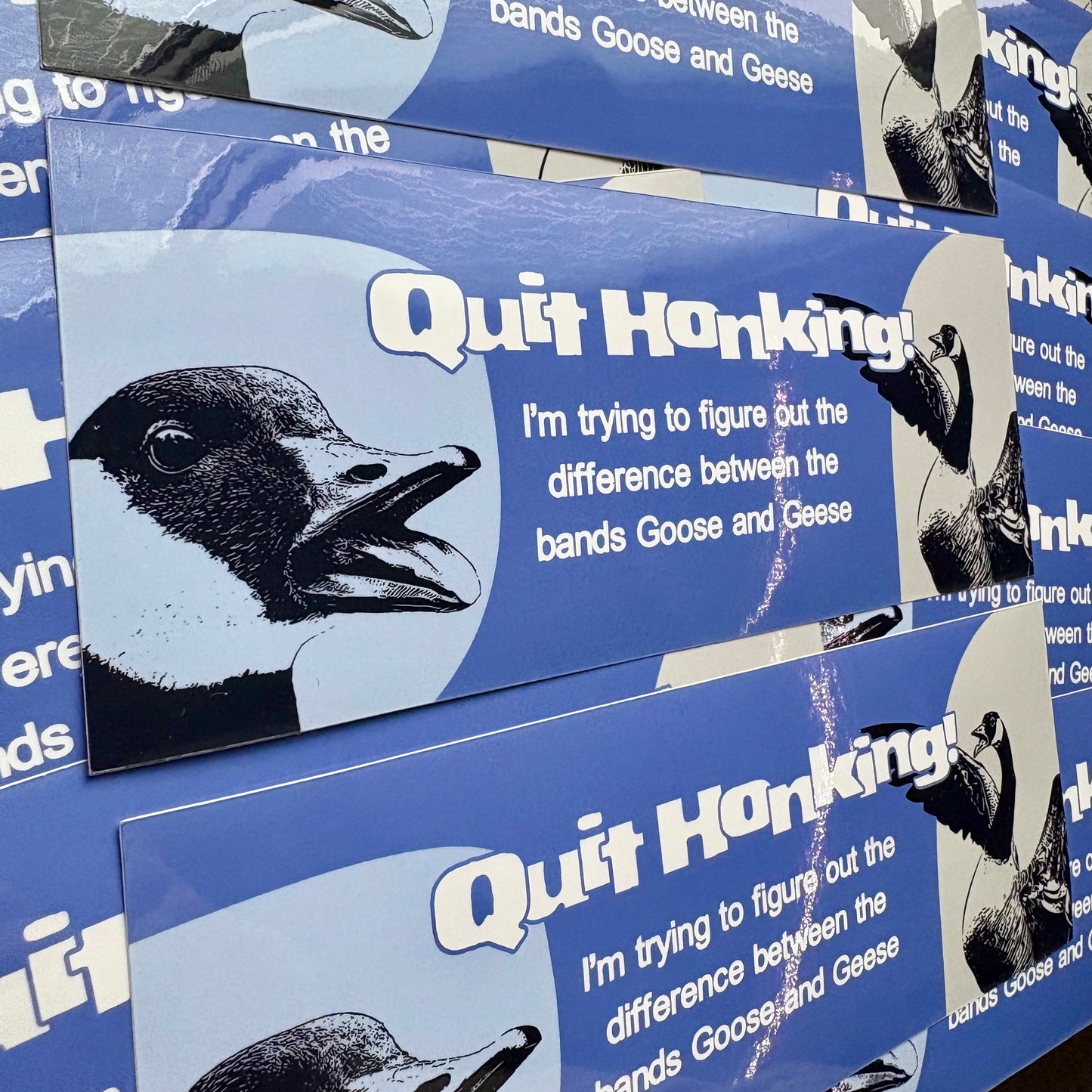 Goose or Geese? (Bumper Sticker)