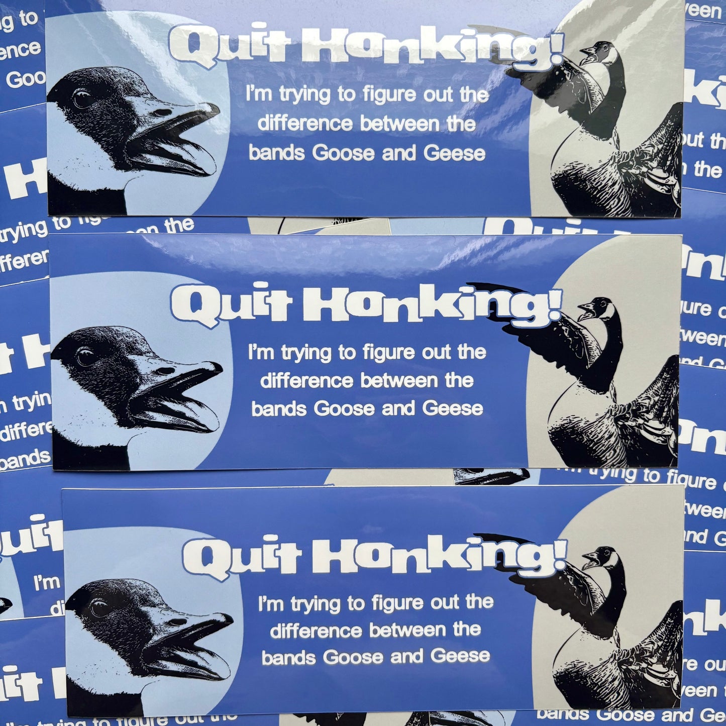 Goose or Geese? (Bumper Sticker)