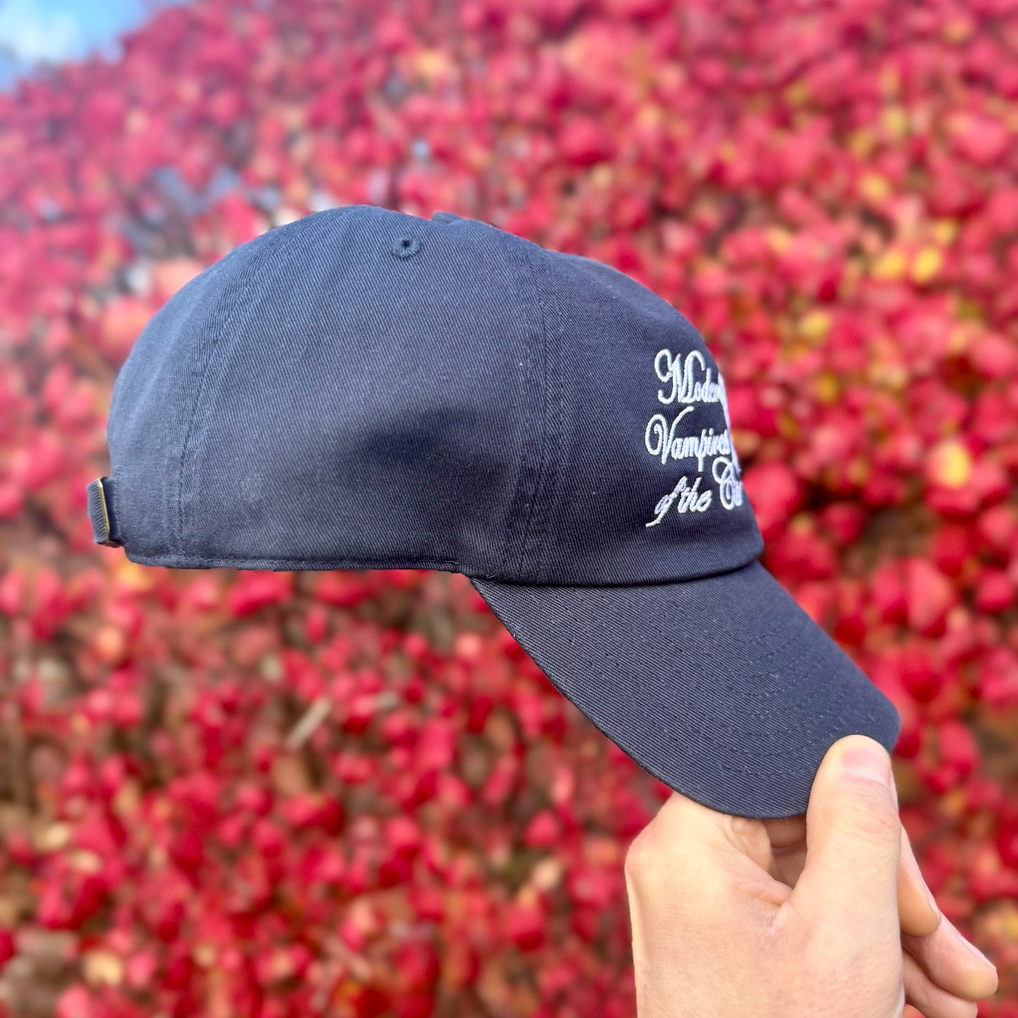 Modern Vampires of NY Hat